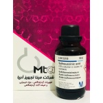 whatsapp_image_2022-08-21_at_4_16_10_pm_1