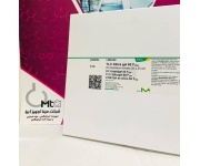 whatsapp_image_2022-07-26_at_3_05_10_pm