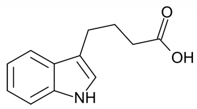 ایندول-3-بوتیریک اسید (IBA)