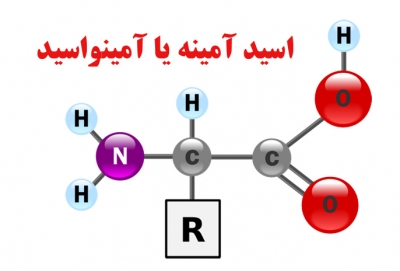 اسید آمینه